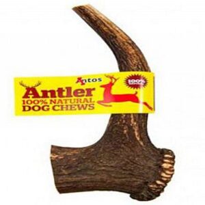 Antler Κέρατο Ελαφιού Antler Dog Chews